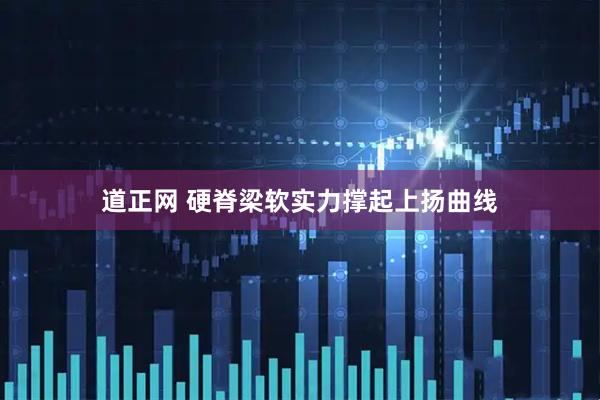 道正网 硬脊梁软实力撑起上扬曲线