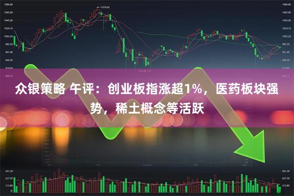 众银策略 午评：创业板指涨超1%，医药板块强势，稀土概念等活跃