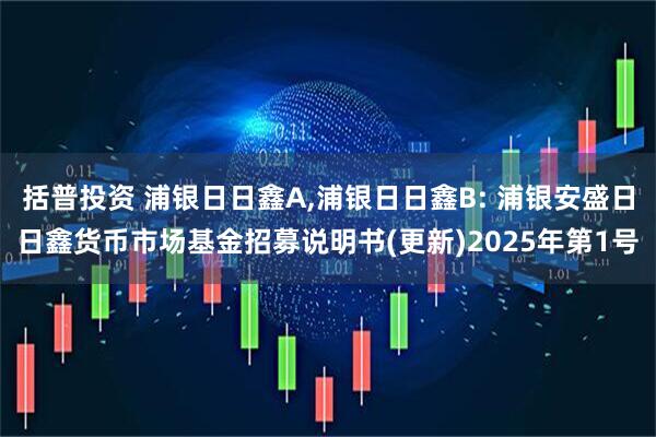 括普投资 浦银日日鑫A,浦银日日鑫B: 浦银安盛日日鑫货币市场基金招募说明书(更新)2025年第1号