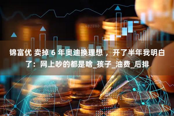 锦富优 卖掉 6 年奥迪换理想 ，开了半年我明白了：网上吵的都是啥_孩子_油费_后排