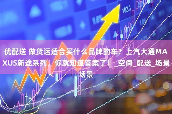 优配送 做货运适合买什么品牌的车？上汽大通MAXUS新途系列，你就知道答案了！_空间_配送_场景